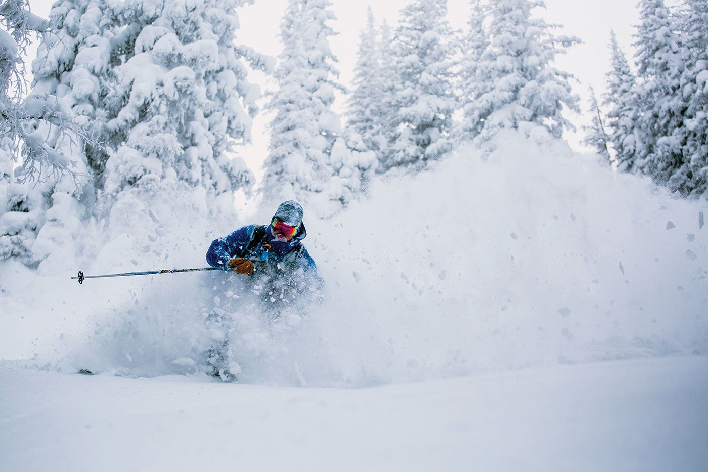 How To Ski Powder