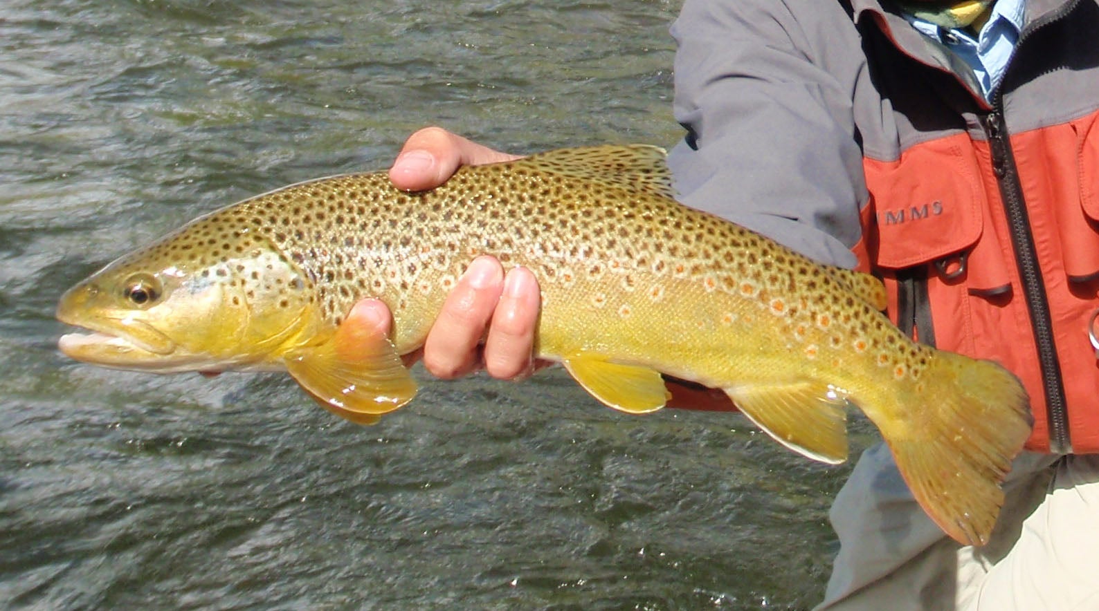 fly fishing None