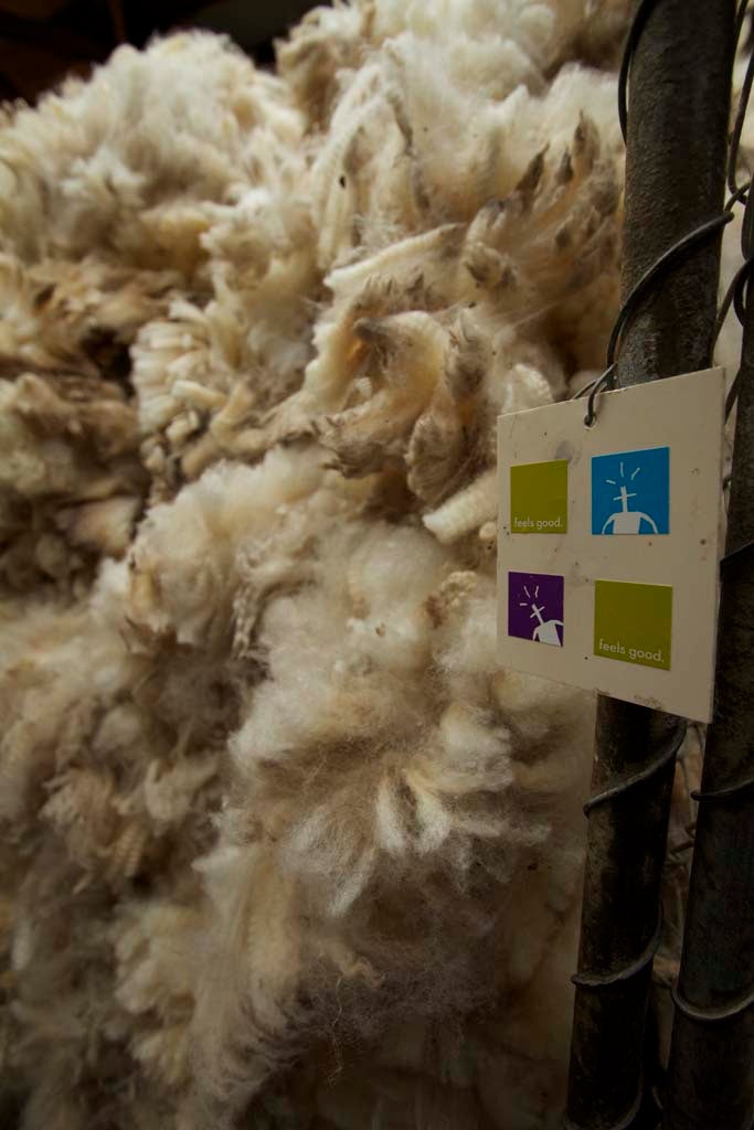 Wearable Wool Smartwool uses the wool from sheep at Nokomai to craft their socks, sweaters, baselayers, and t-shirts. Merino wool is known for its silky-softness…