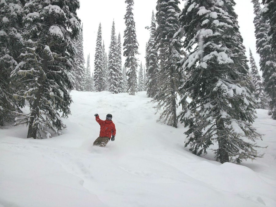 Revelstoke Mountain Resort Nearly 14 inches (35cm) fell with this recent storm, so Revelstoke should be skiing (and riding) pretty well.