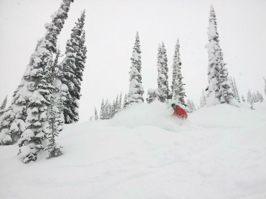 Revelstoke Mountain Resort Nearly 14 inches (35cm) fell with this recent storm, so Revelstoke should be skiing (and riding) pretty well.