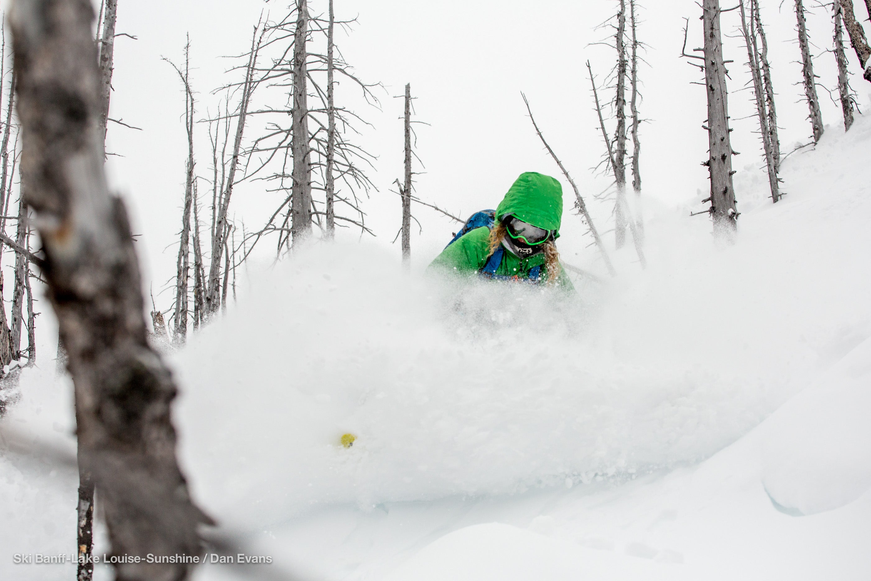 Sunshine Village, Alberta Photo: Dan Evans Sunshine Village had a 34-inch week. Where are our passports?