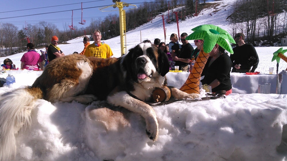 SKI_powderhounds_wme_10 None