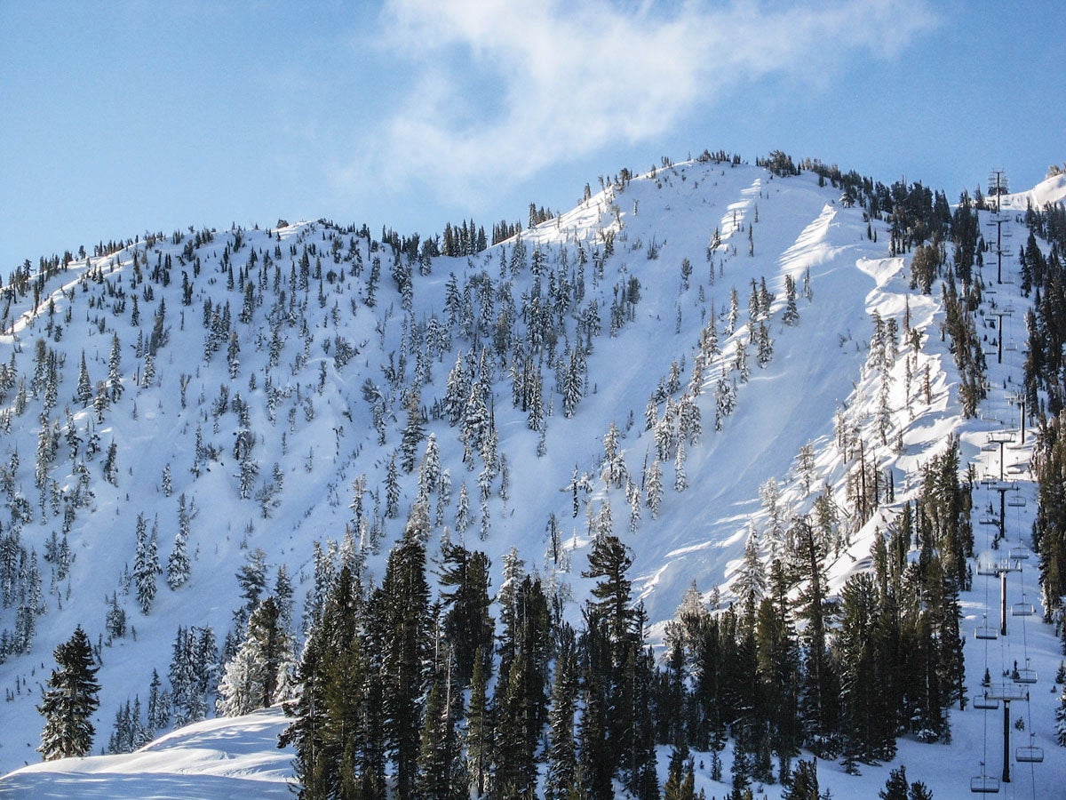 SKI0217_TIP_Chutes None