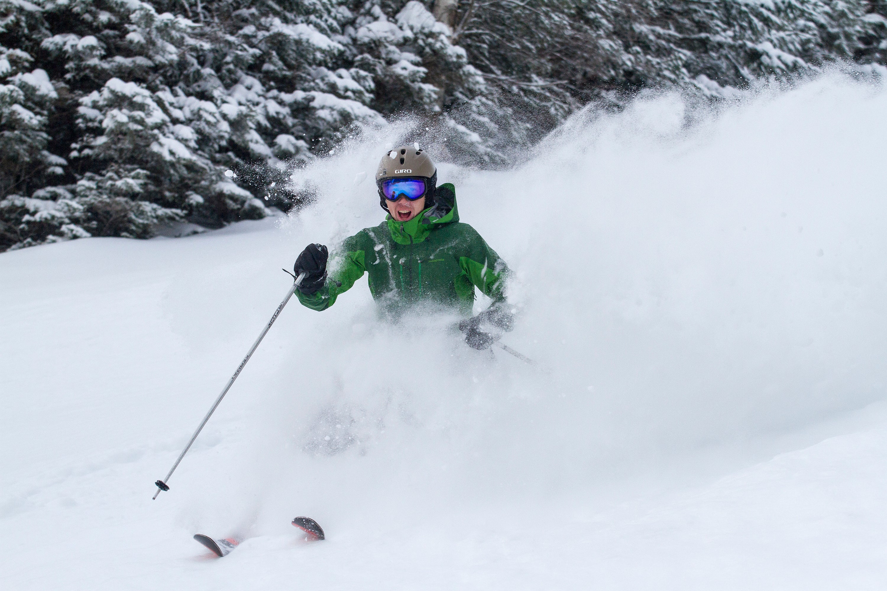 Snow-Loon- Credit_Gus Noffke None