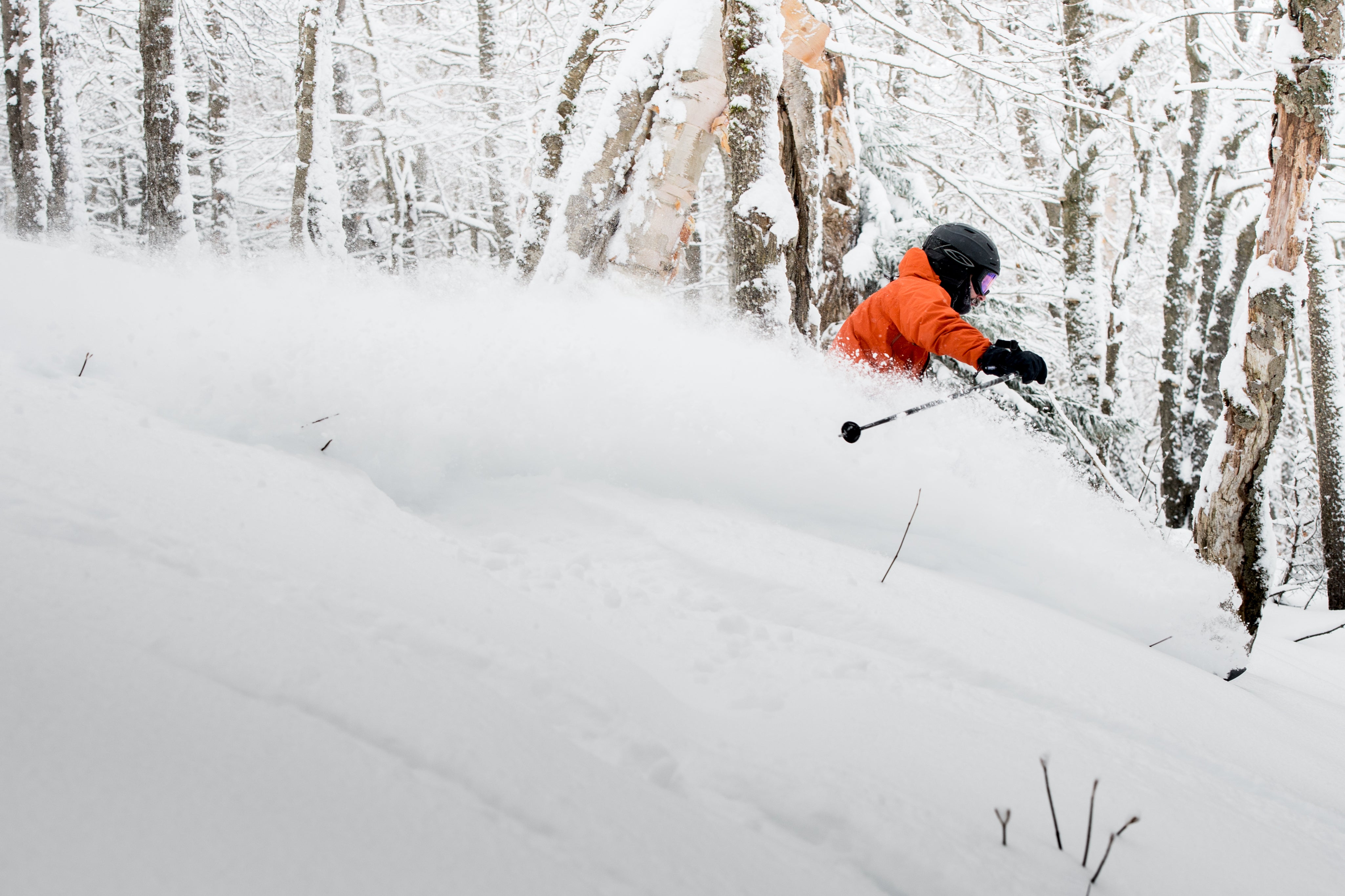 Terrain Variety - Mount Snow None