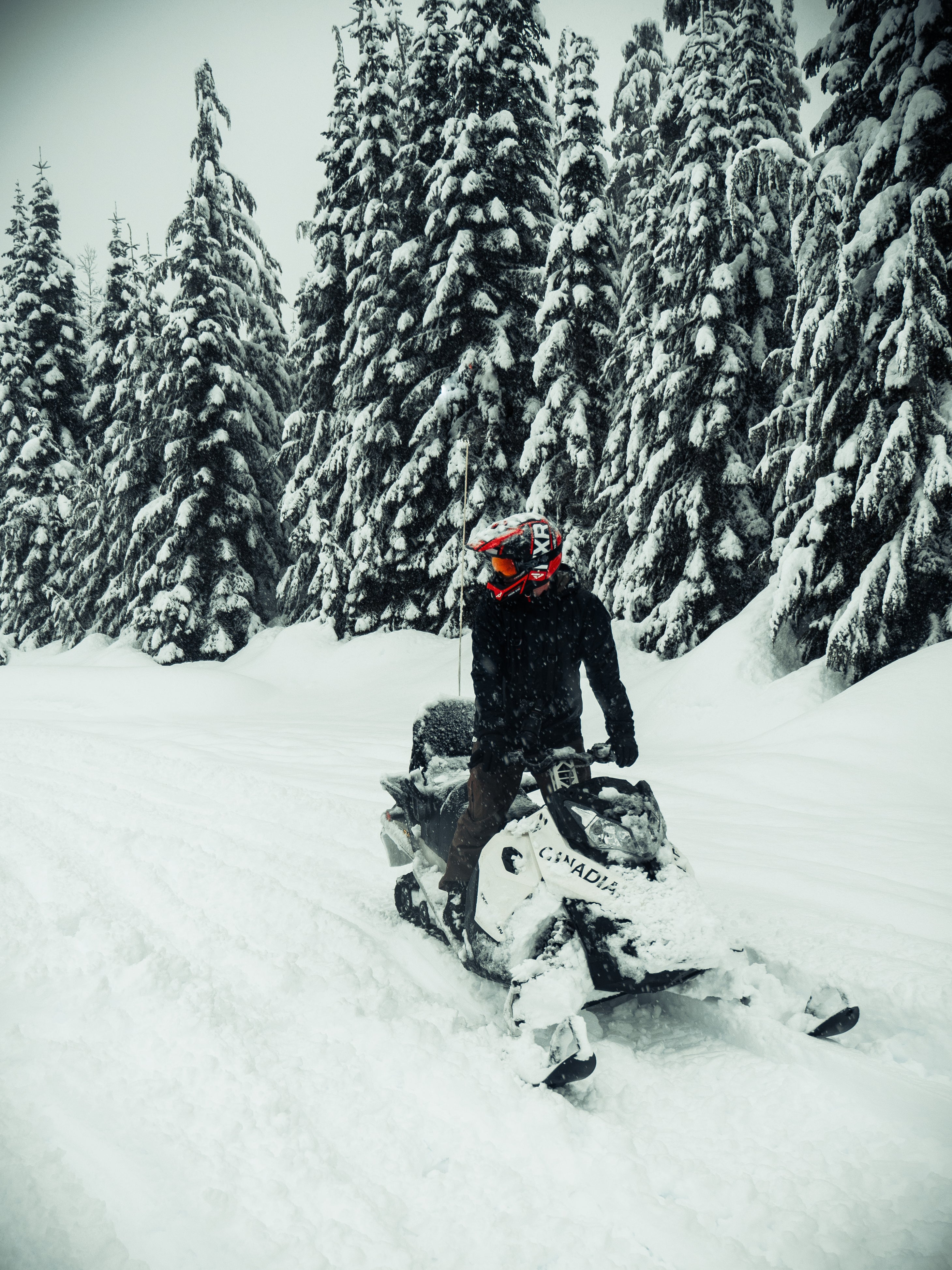snomobile Whistler Day 1-3 Jackson on a snowmobile