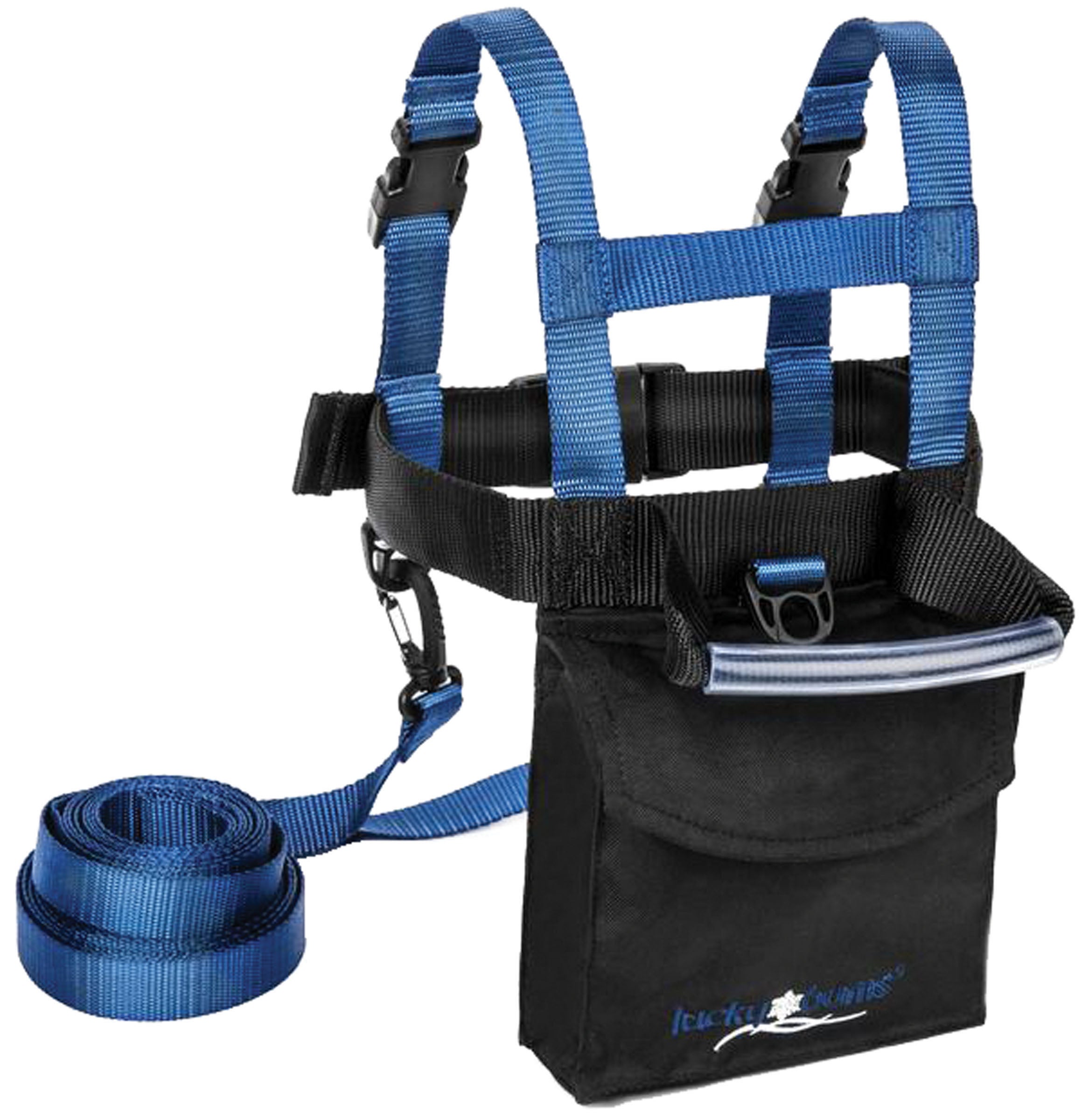 SKI1119-CLI-Harness_1 Harness
