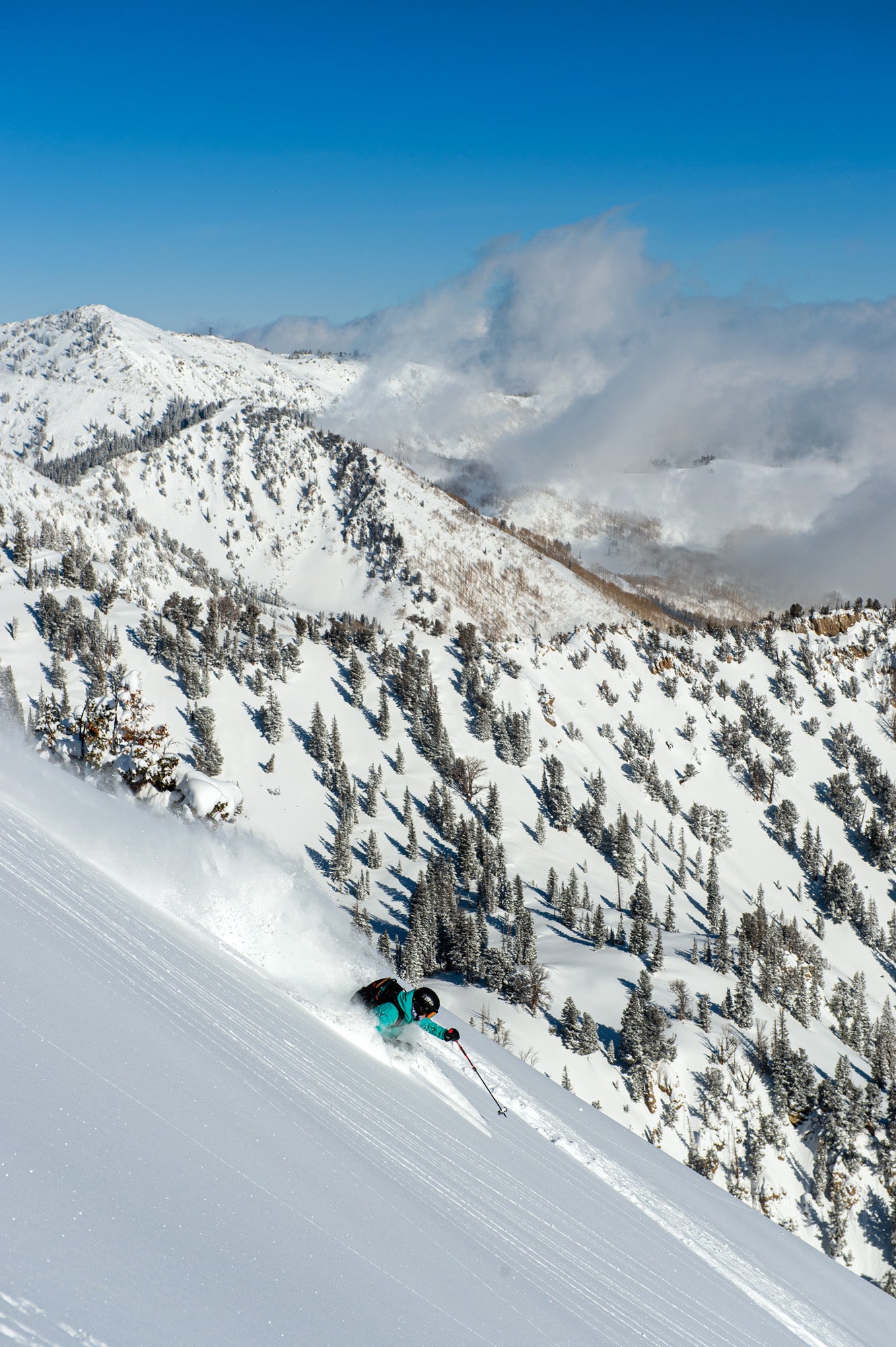 Alta Ski Area, Utah SKI Magazine Resort Guide Review