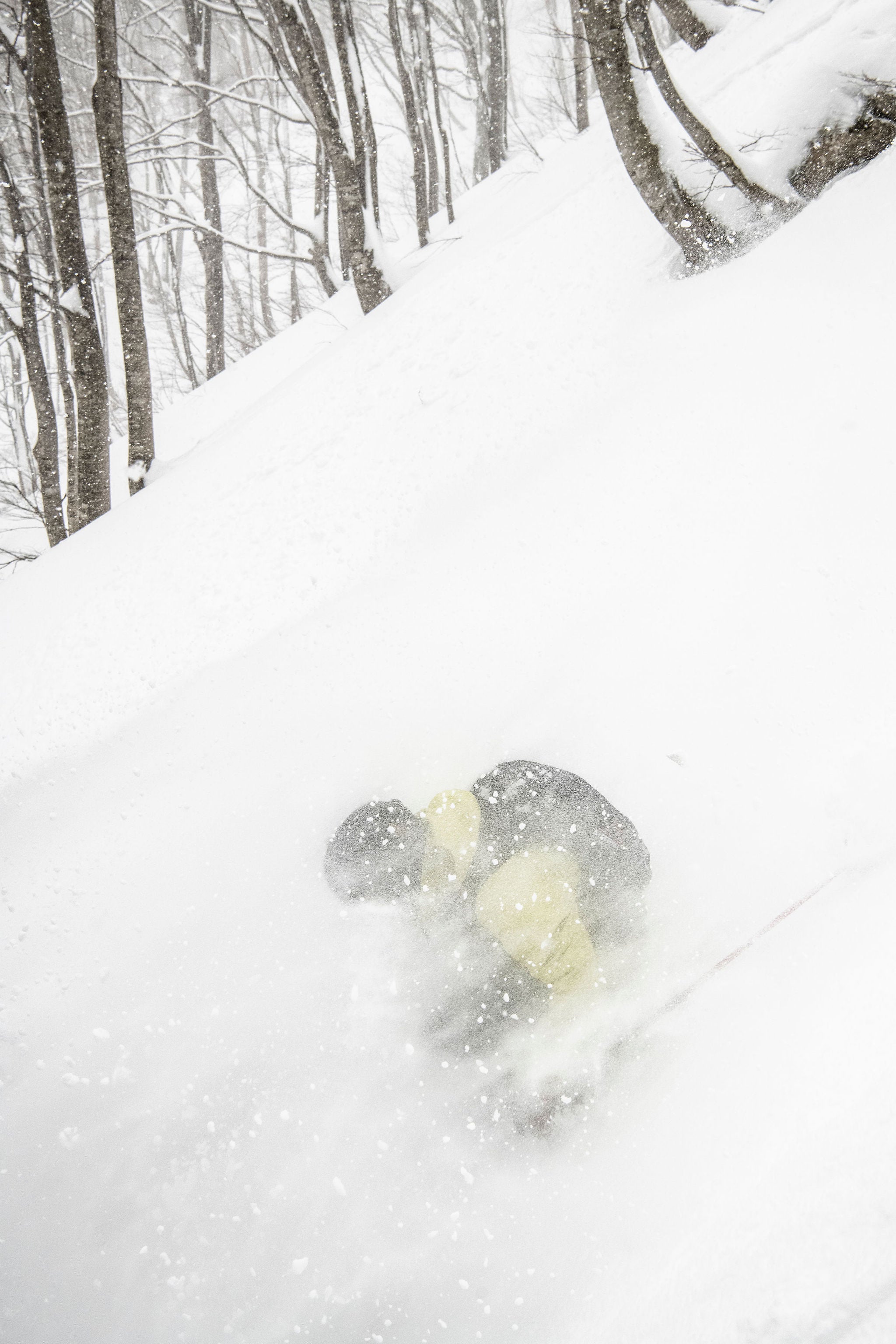Skier disappearing in snow in Japan