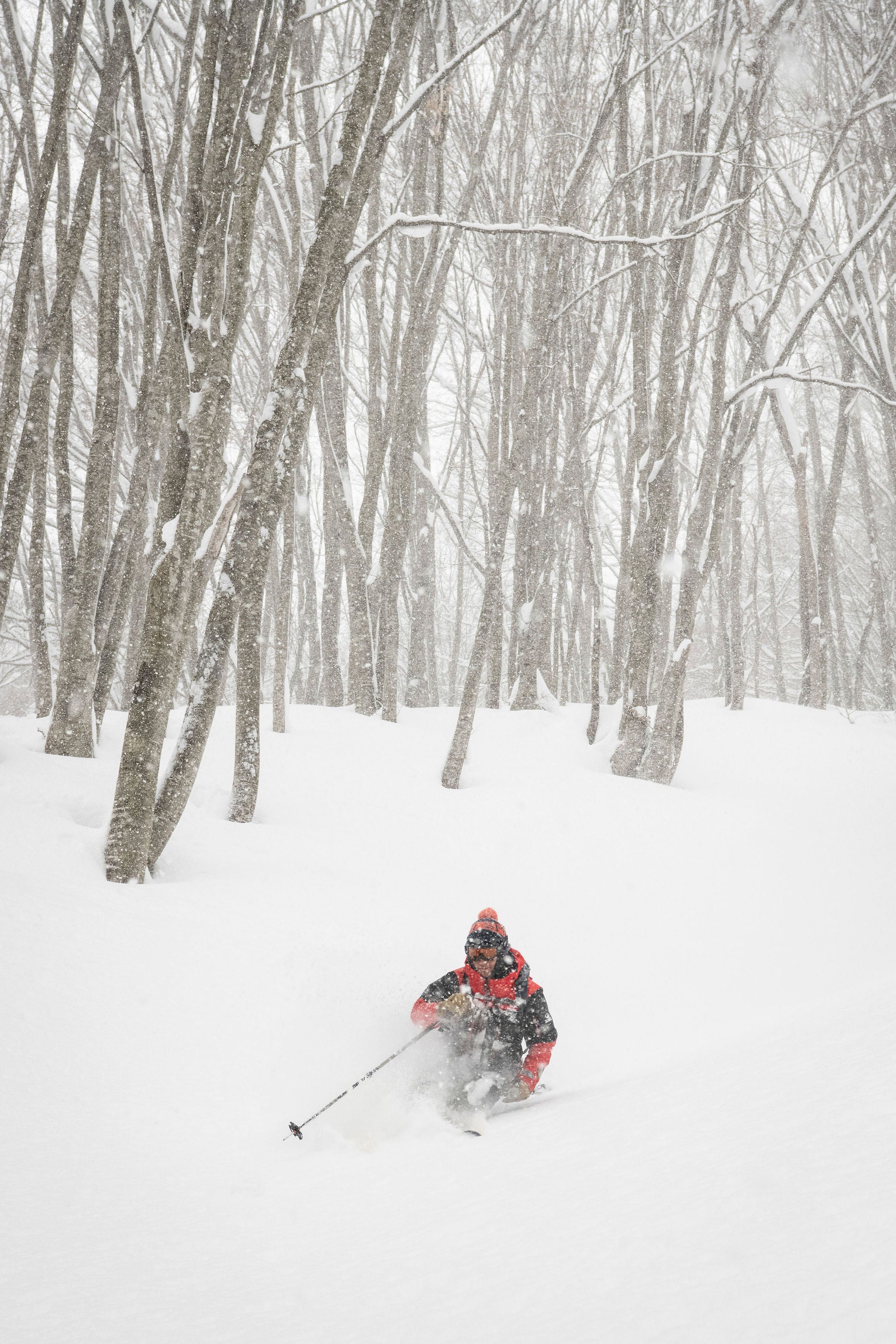 Skier in powder in Japanese trees