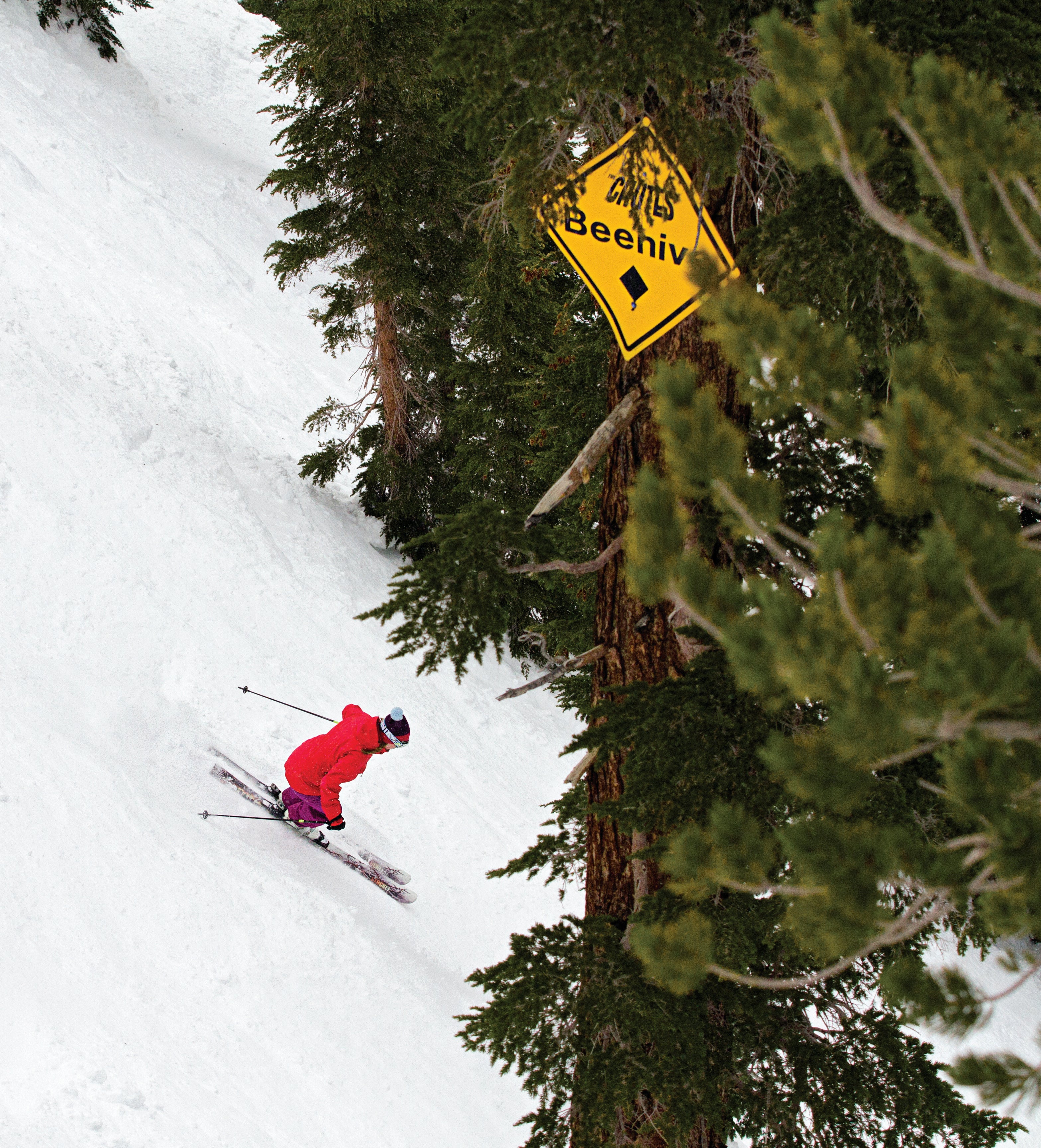 The Chutes at Mt. Rose