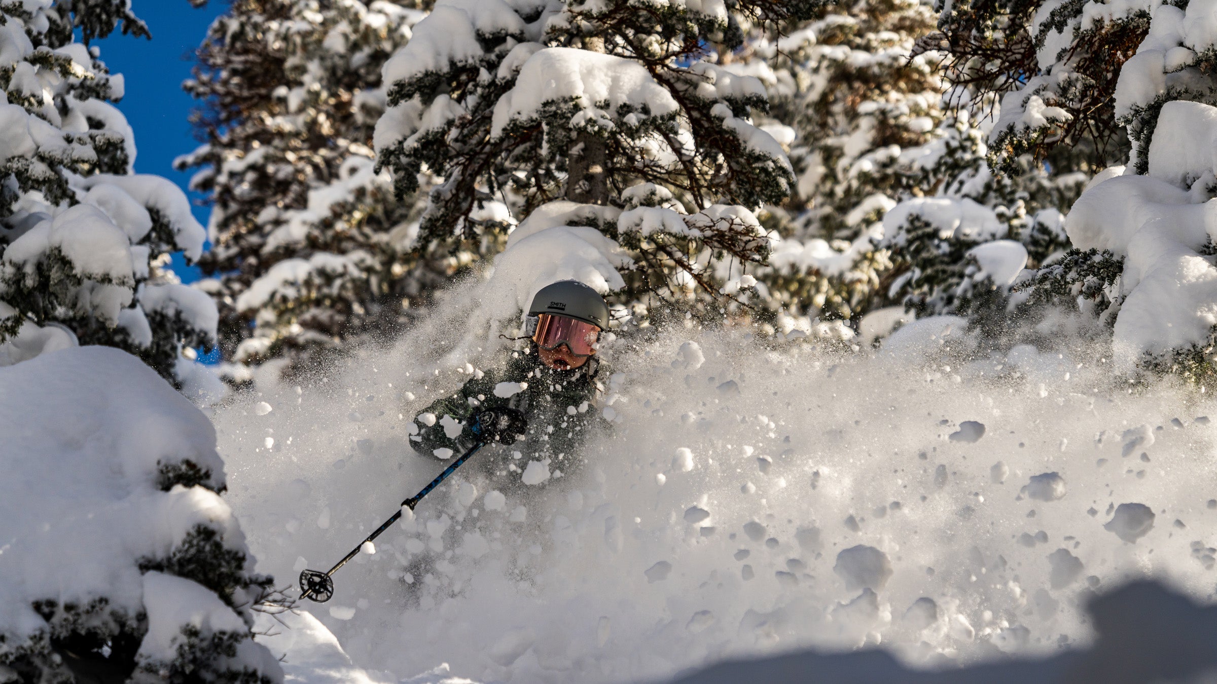 Skier between trees