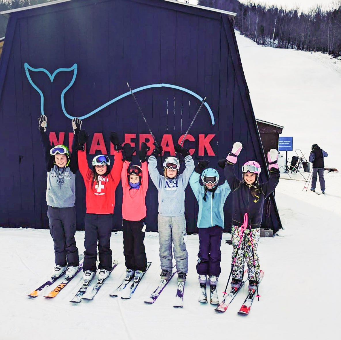 Whaleback